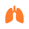 orange lungs symbol representing respiratory health and function supporting breathing and wellness